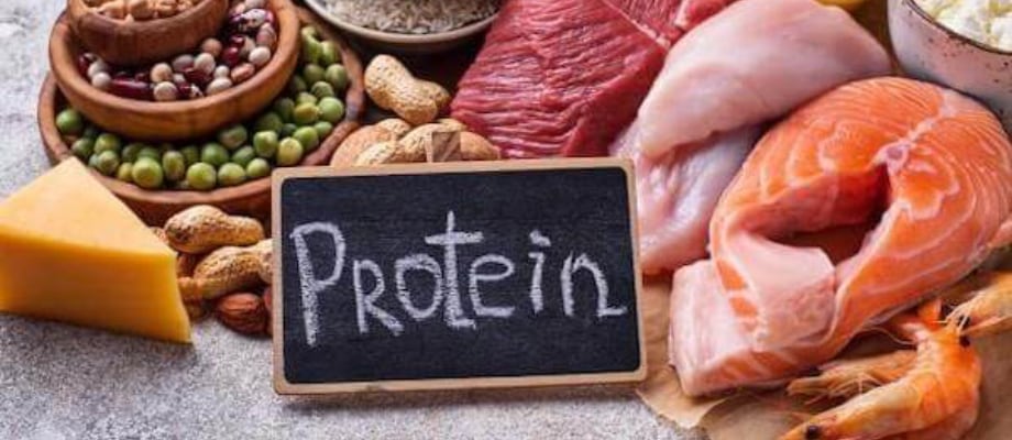 protein-bílkoviny